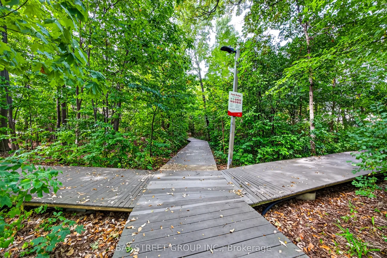 2439 Musket Court — photo 42