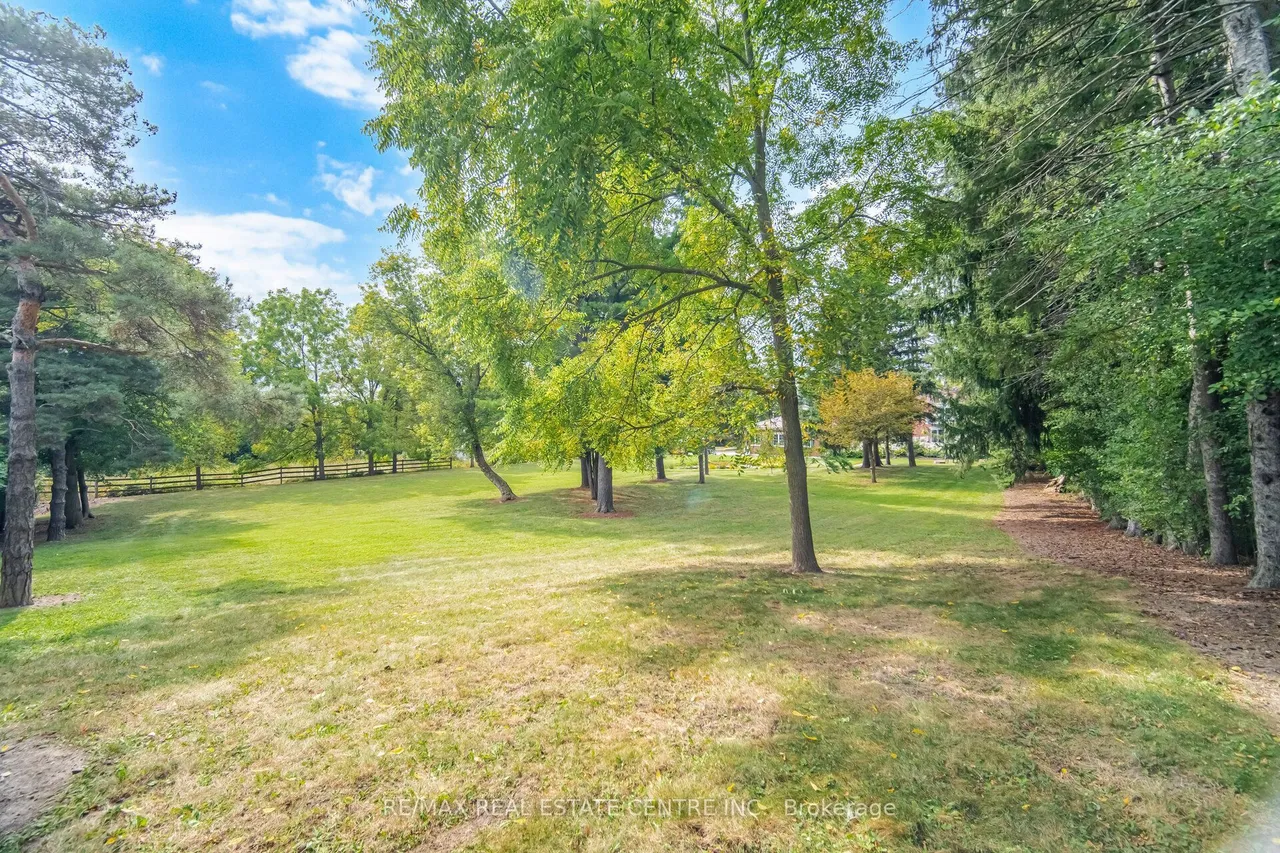 10245 OLD PINE CREST Road — photo 50
