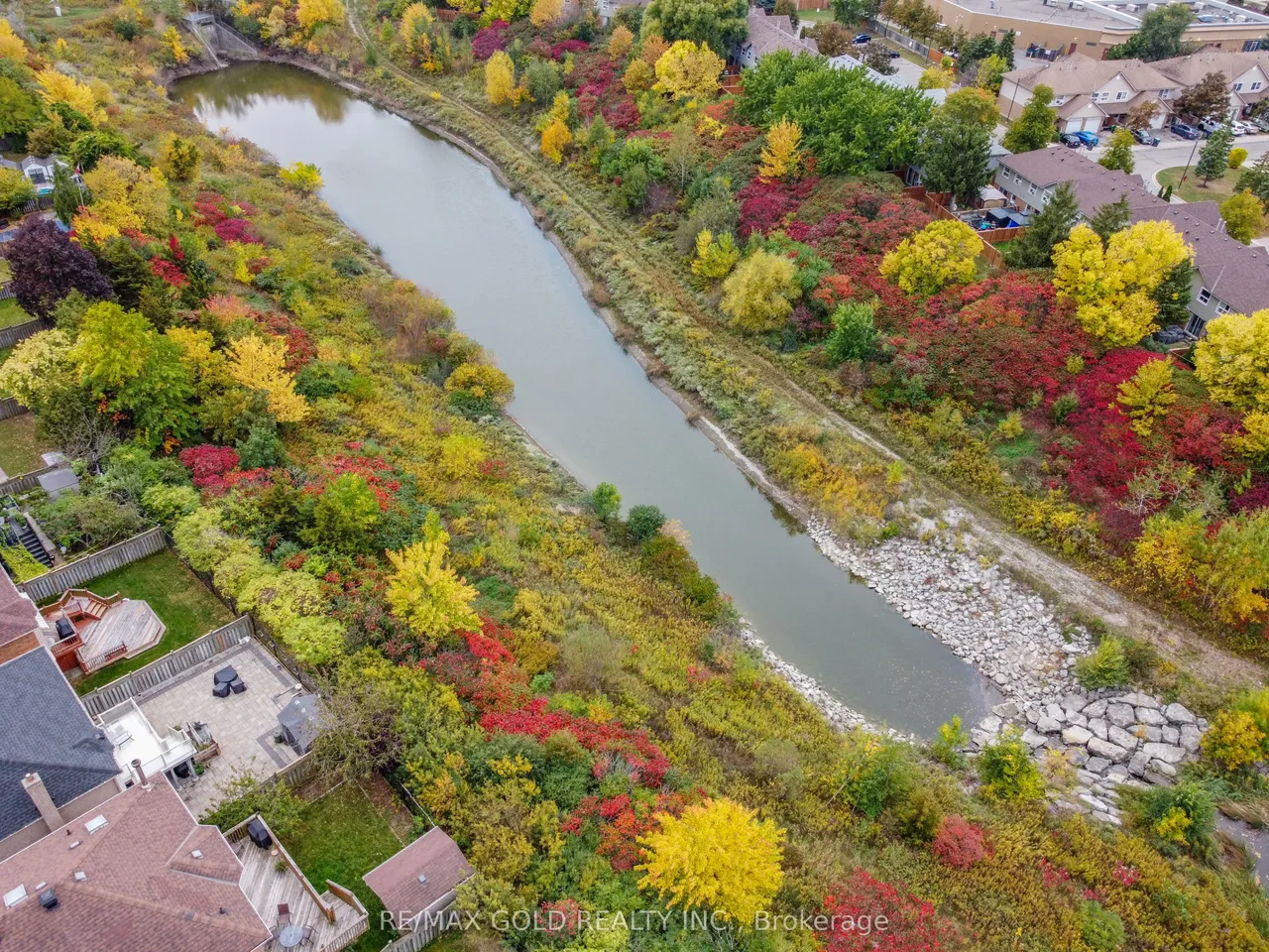 1361 Daniel Creek Road — photo 48