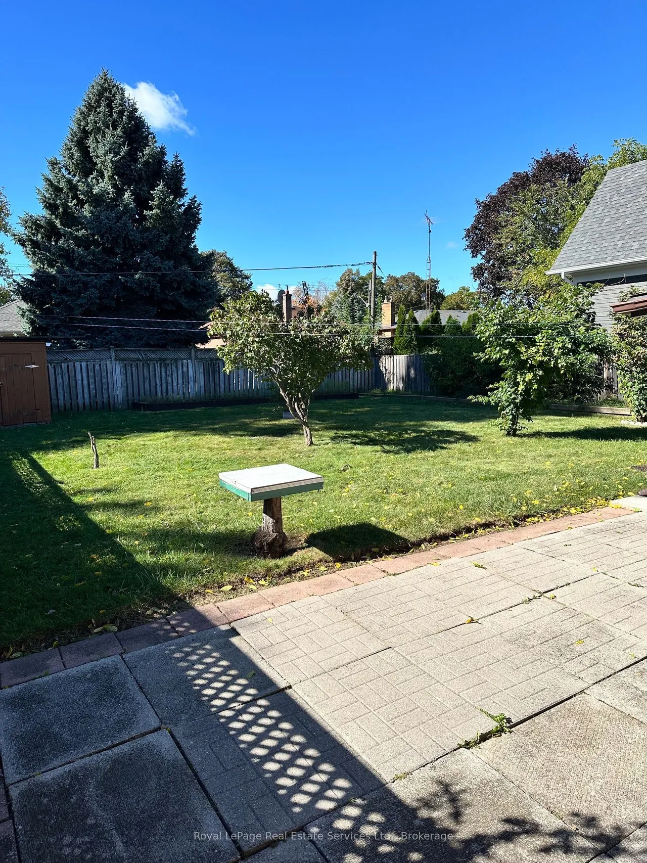 294 Felan Avenue — photo 20