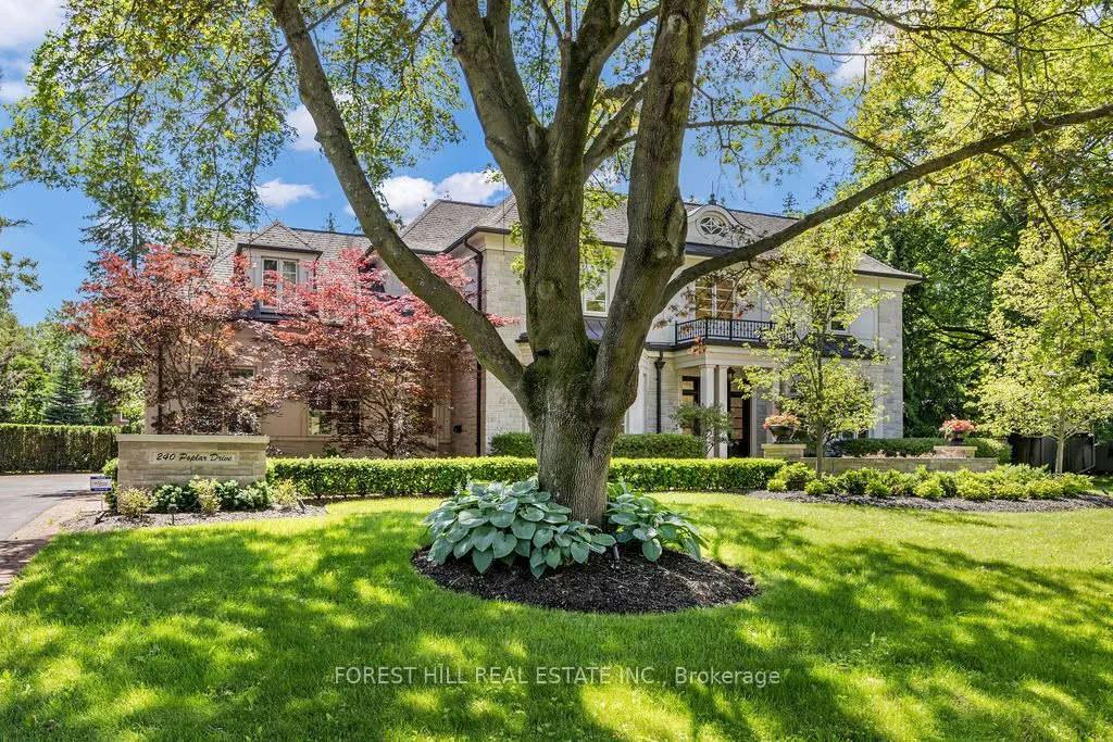 240 Poplar Drive — photo 41