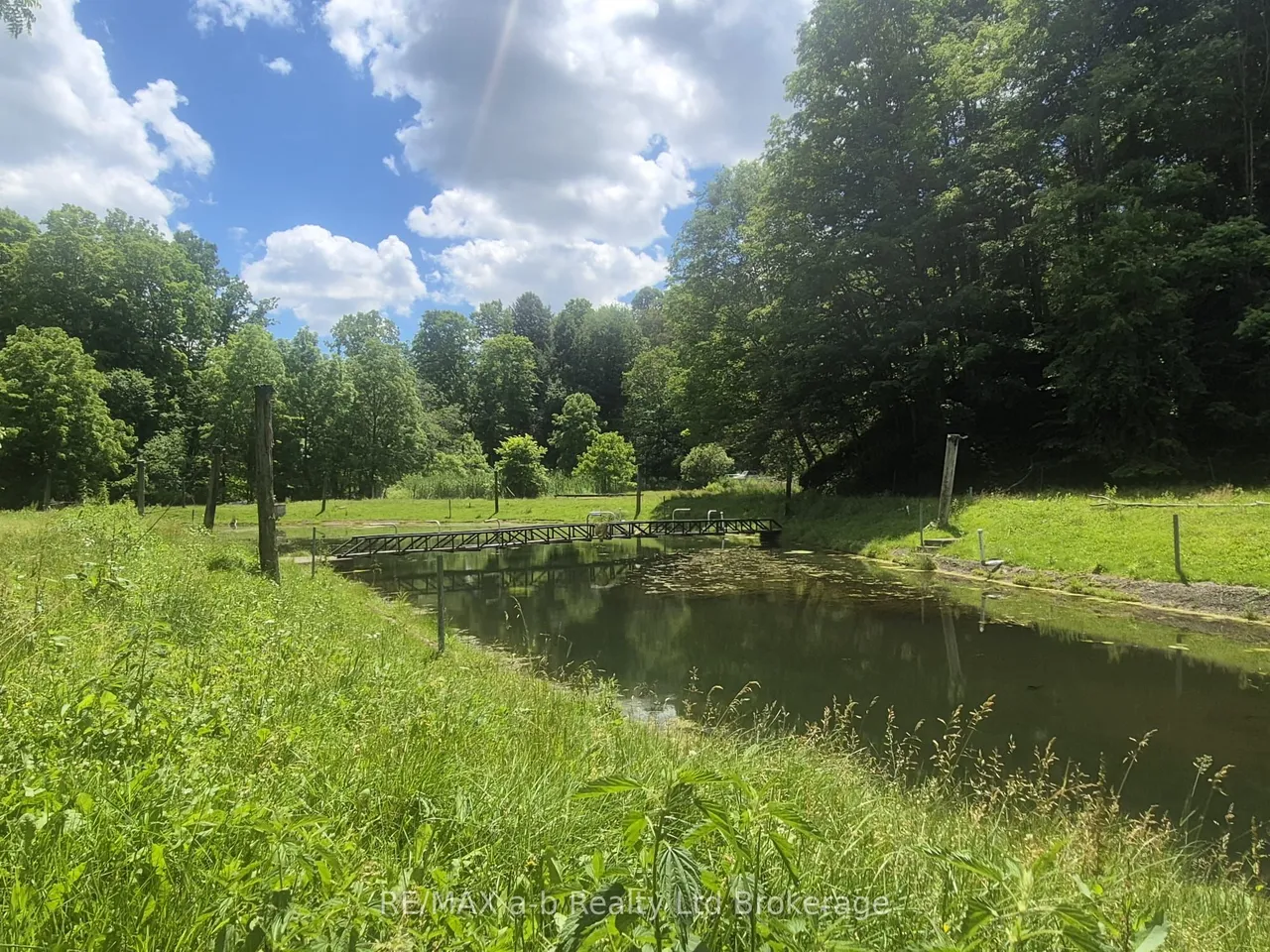 244 11th Concession Road — photo 41