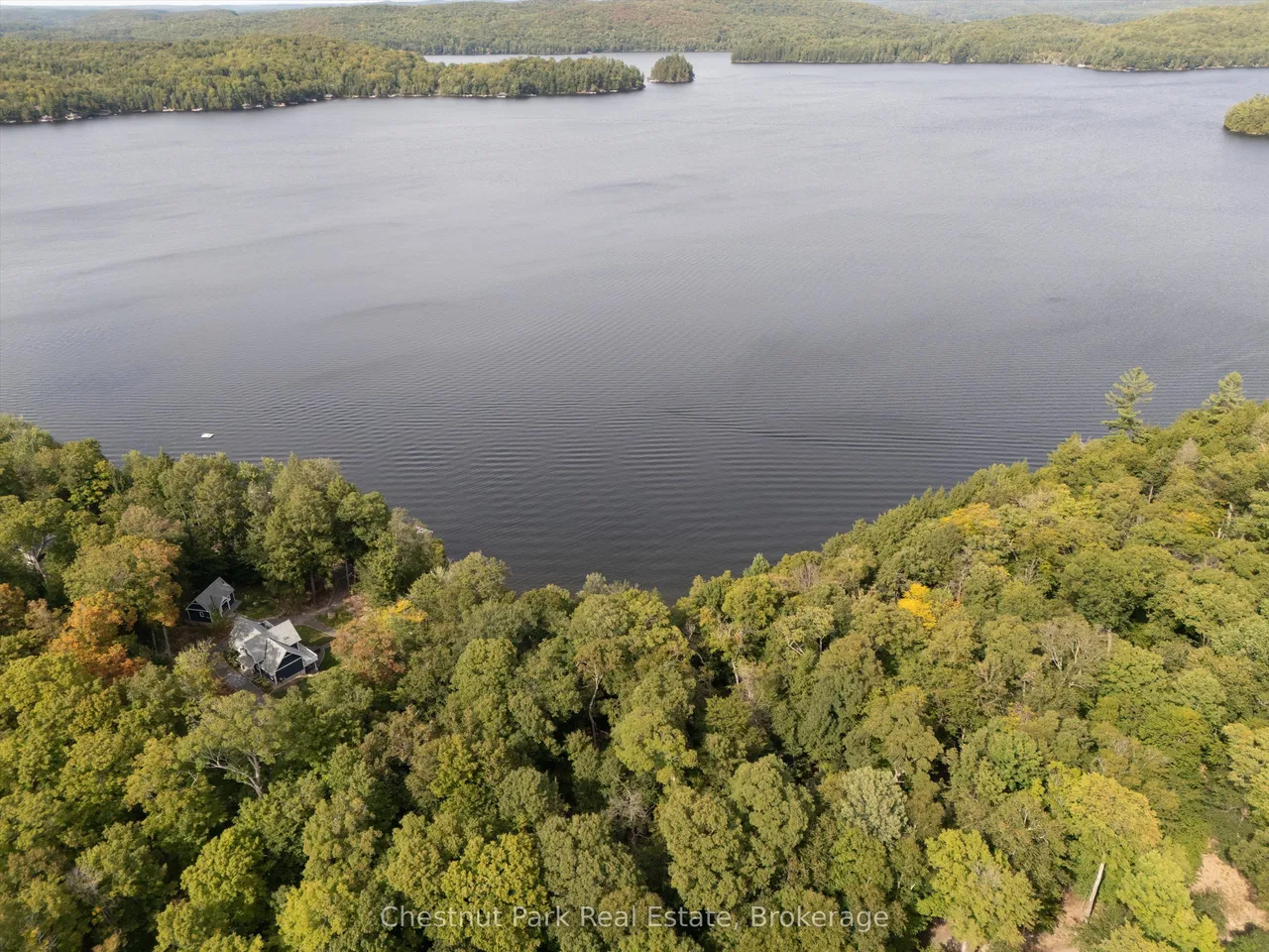 300 Bigwin Island — photo 6