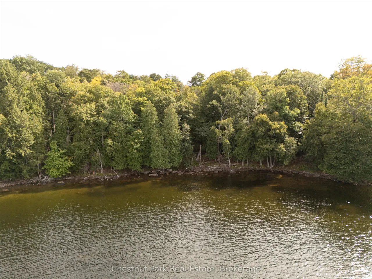 300 Bigwin Island — photo 3