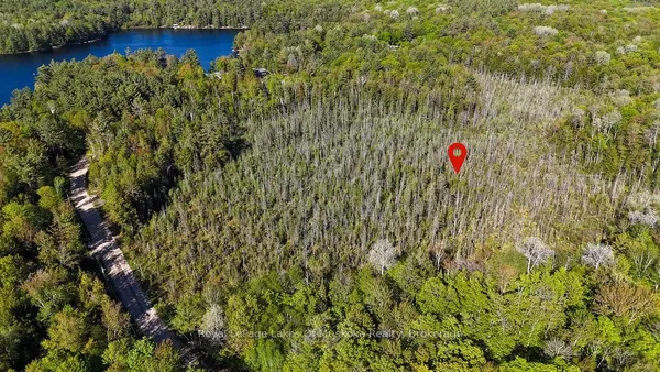 1356 Dickie Lake Road
