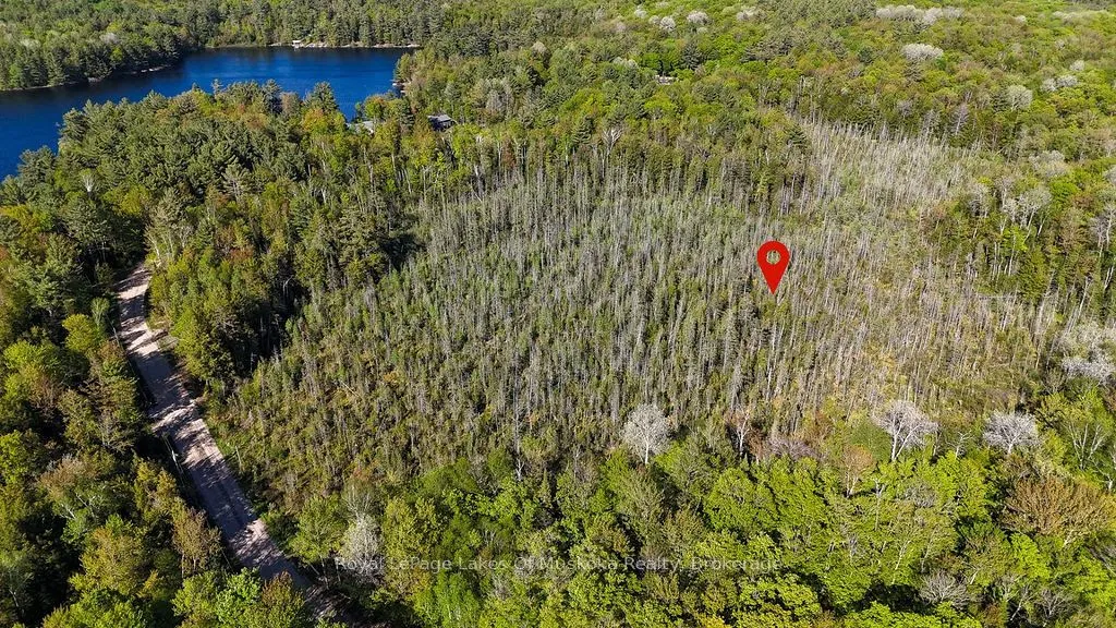 1356 Dickie Lake Road