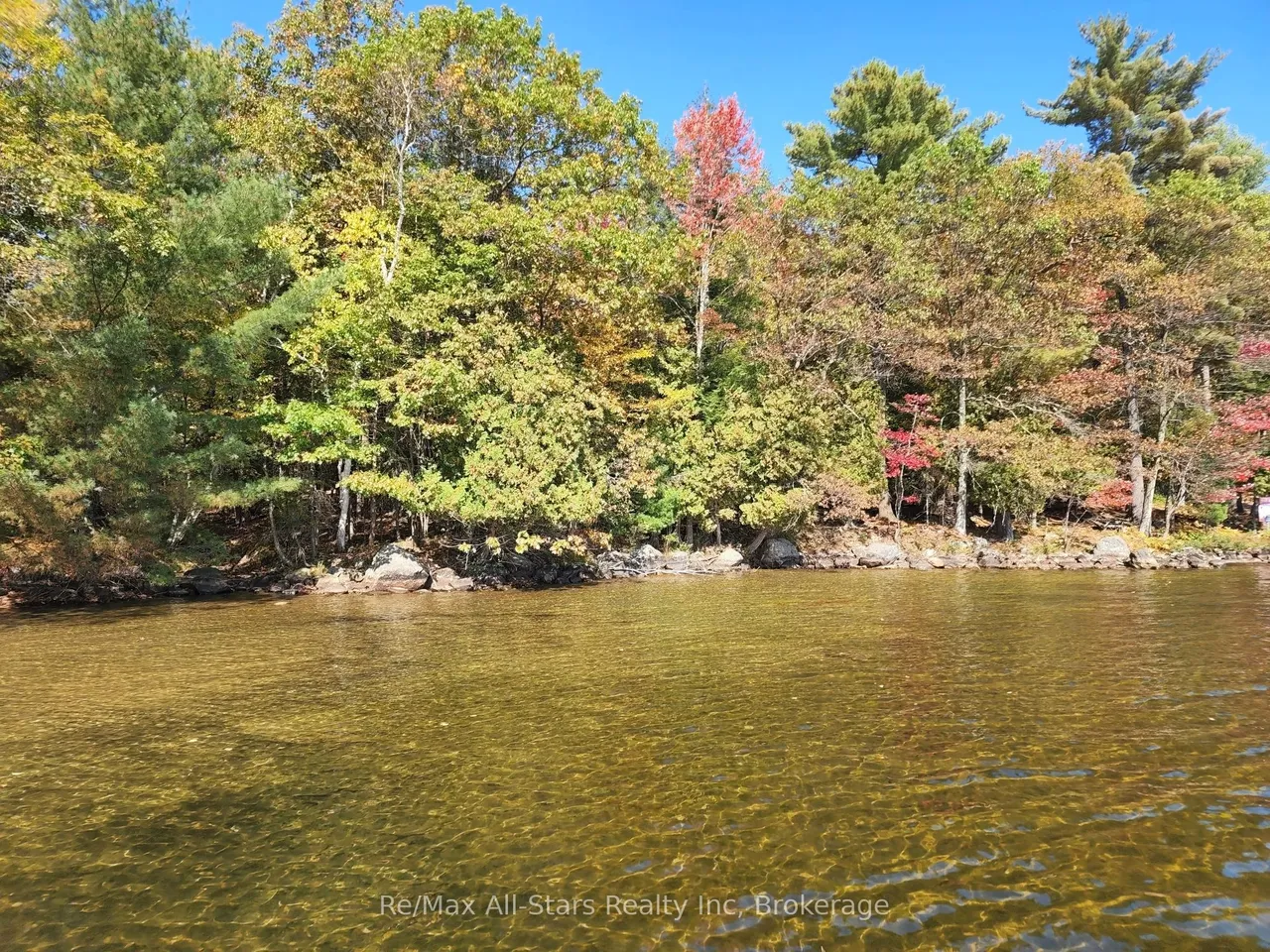 504 Bigwin Island — photo 3