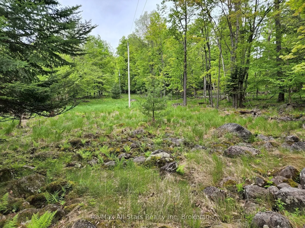 504 Bigwin Island — photo 4