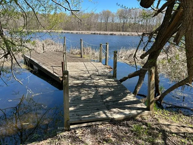 21 Storms Lane — photo 27