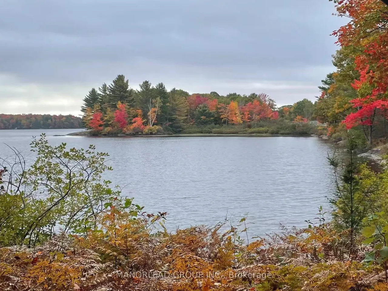 50 Hawkins Point Road — photo 4