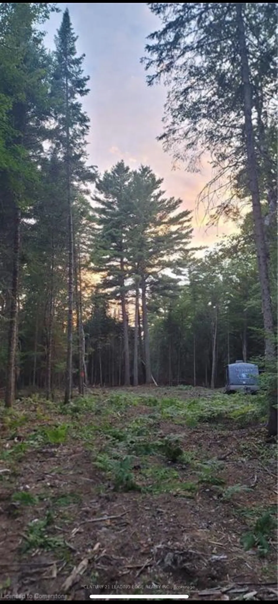 NA Dwight Beach Road — photo 7