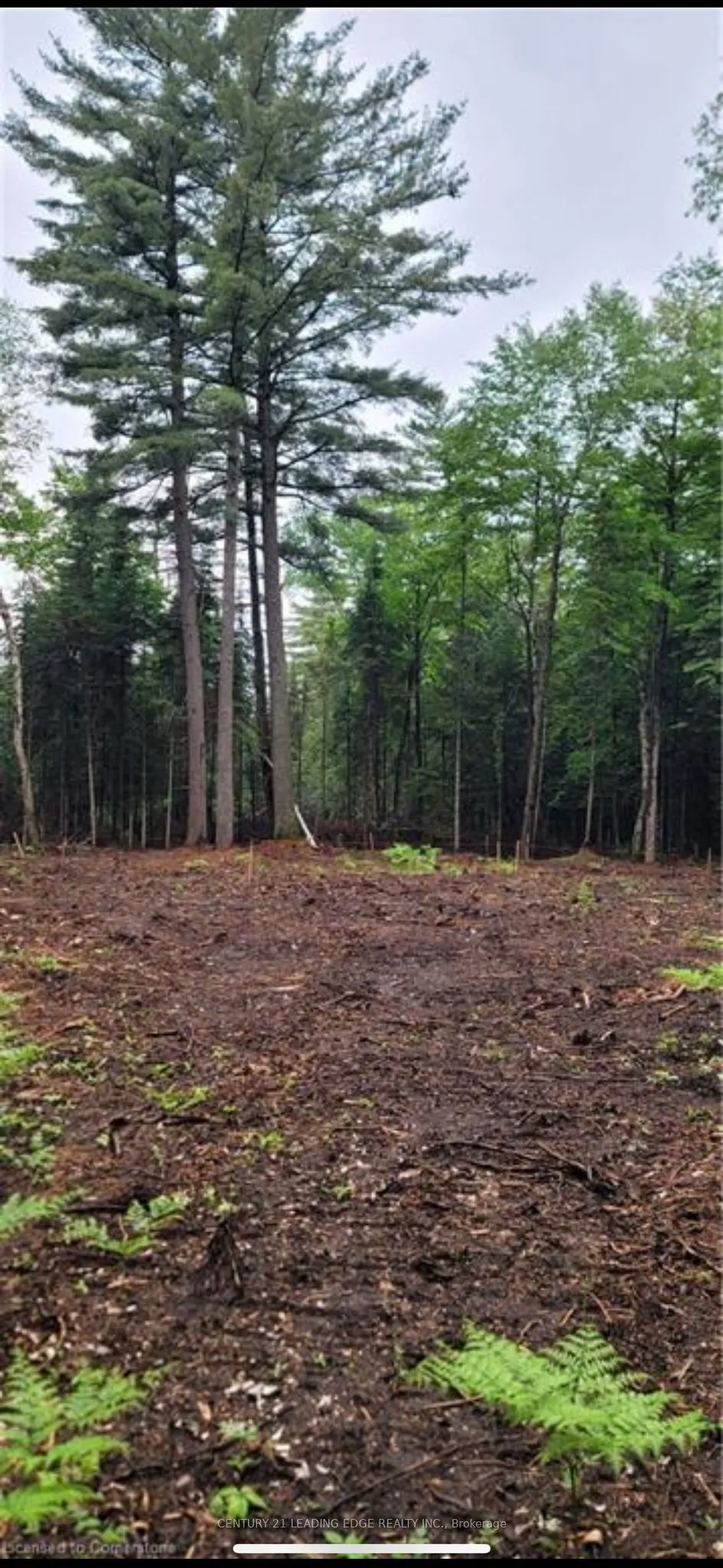 NA Dwight Beach Road — photo 8