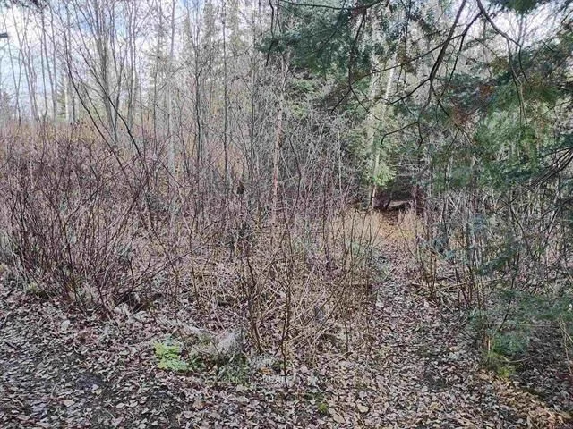 1290 Piccard Avenue — photo 2