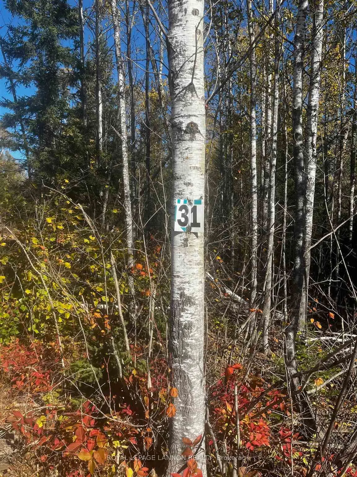 Lot 31 Grann Drive — photo 5