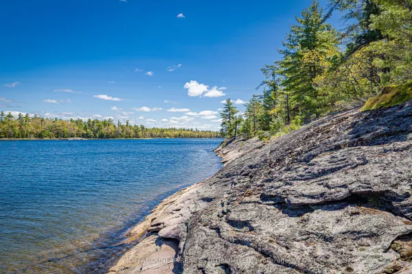 41928 Georgian Bay Shore N/A