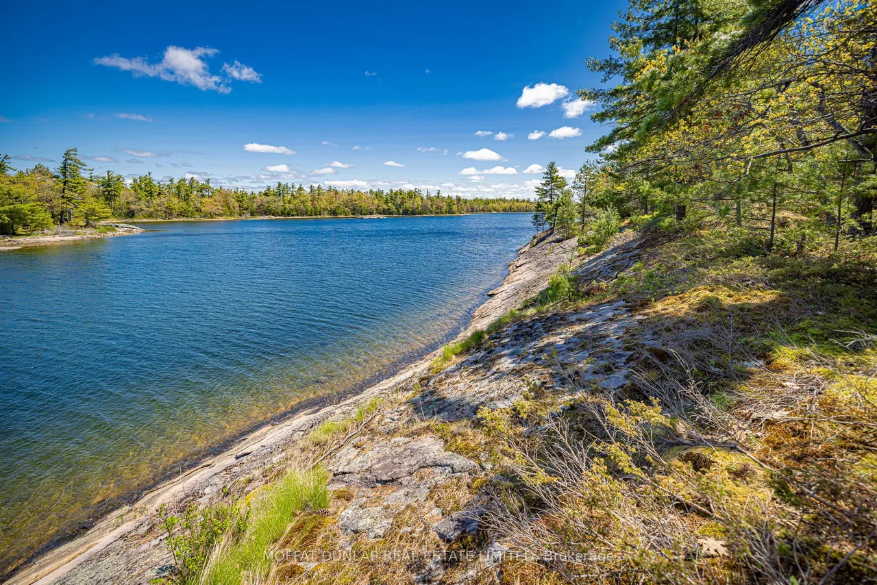 41928 Georgian Bay Shore — photo 3