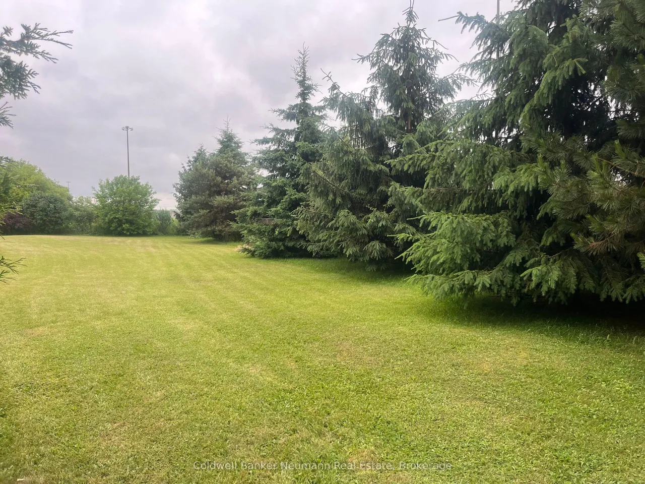 9 Eden Street — photo 6