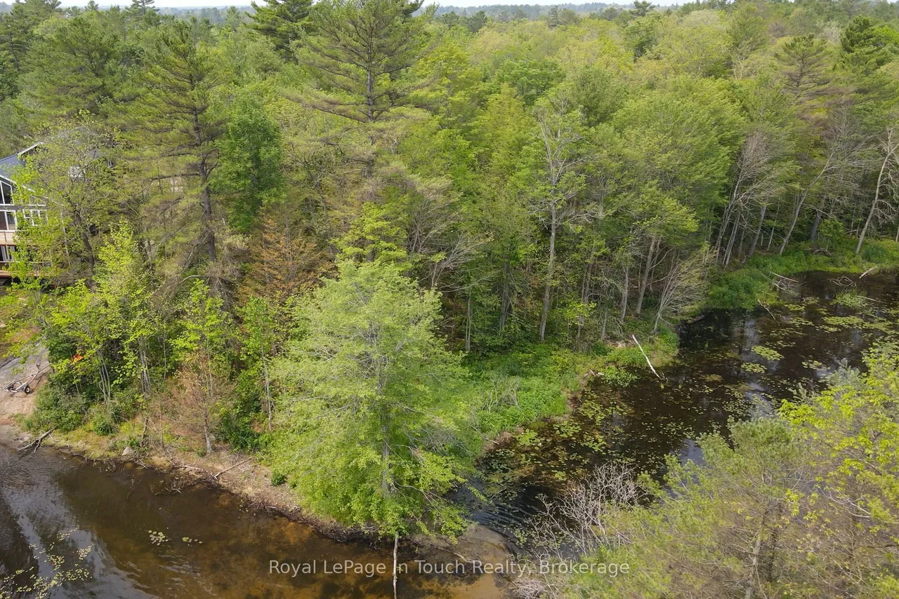 12544 Georgian Bay Shore — photo 3