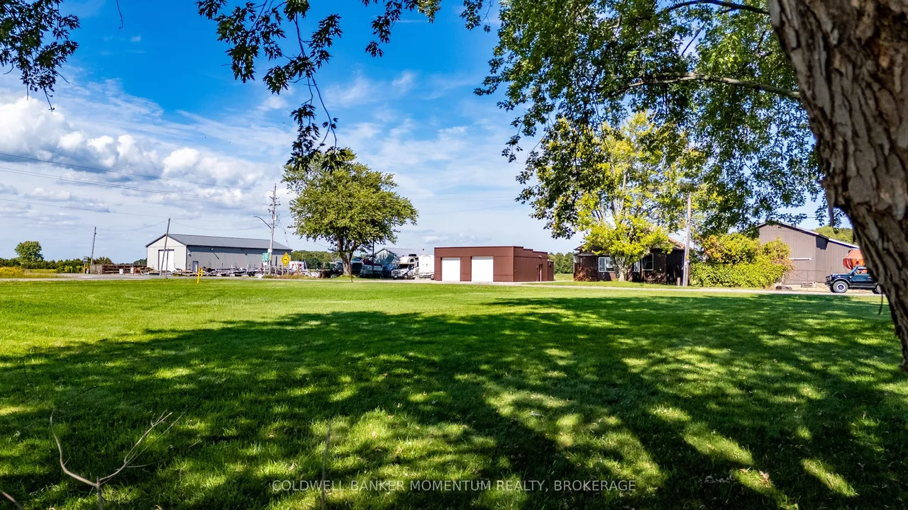 1179 BAY Street — photo 7