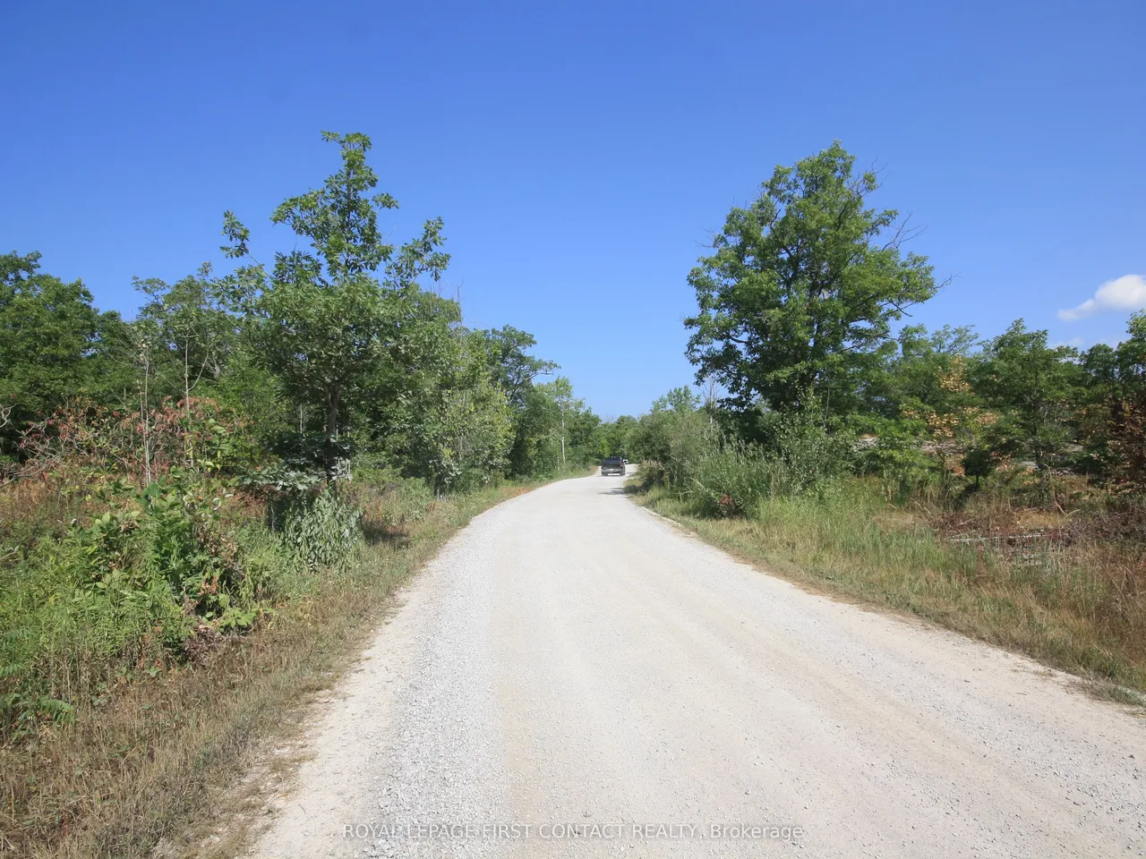 213 Birch Acres Drive — photo 39