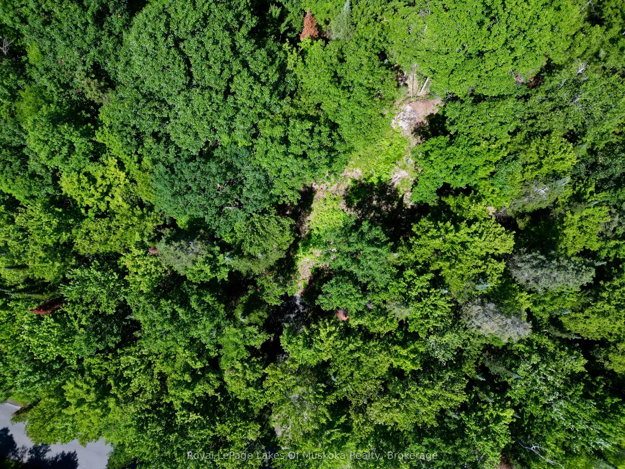 Lot 6 Fairy Falls Road — photo 3