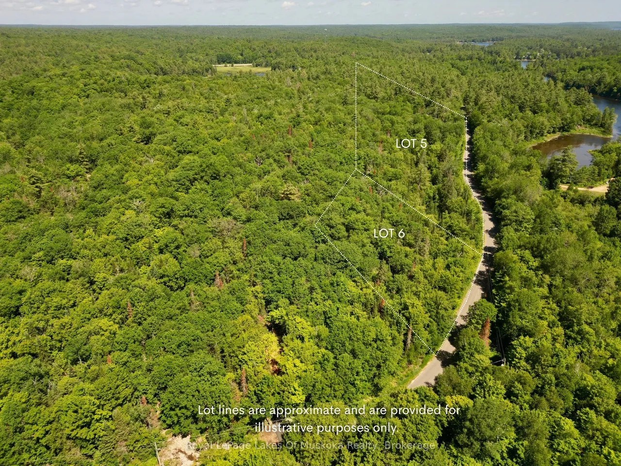 Lot 6 Fairy Falls Road — photo 6