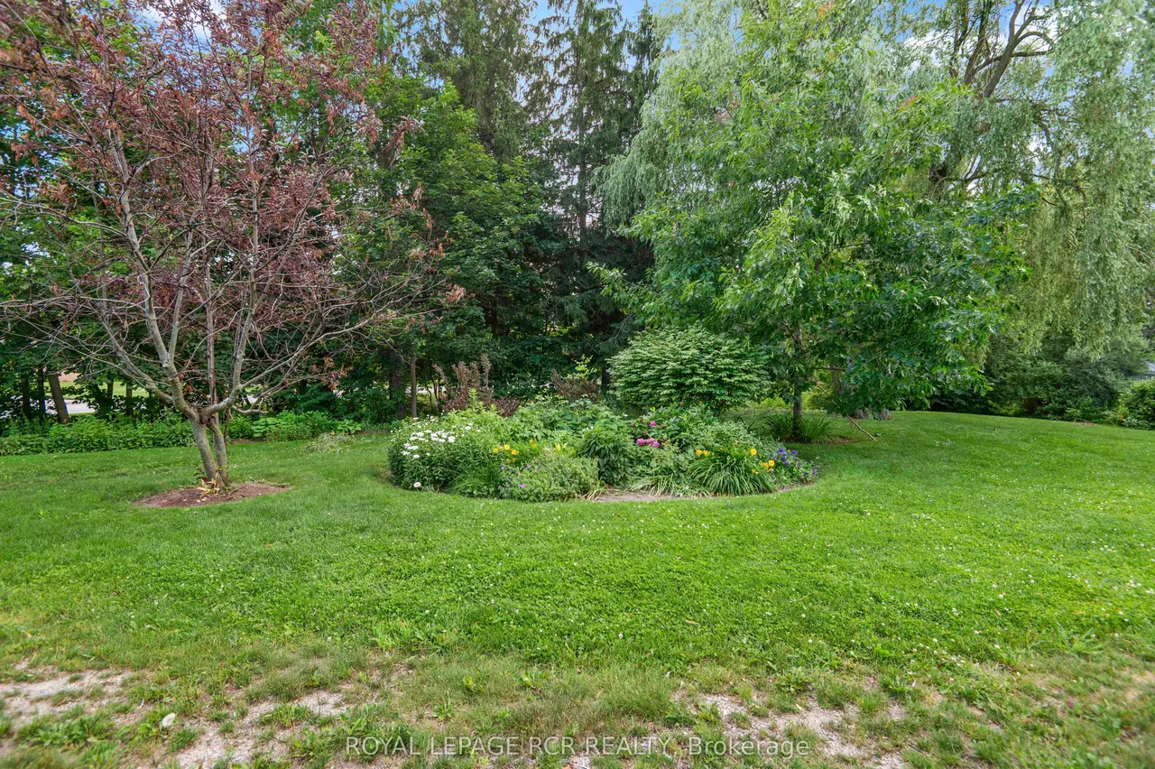 245 Scotland Street — photo 21