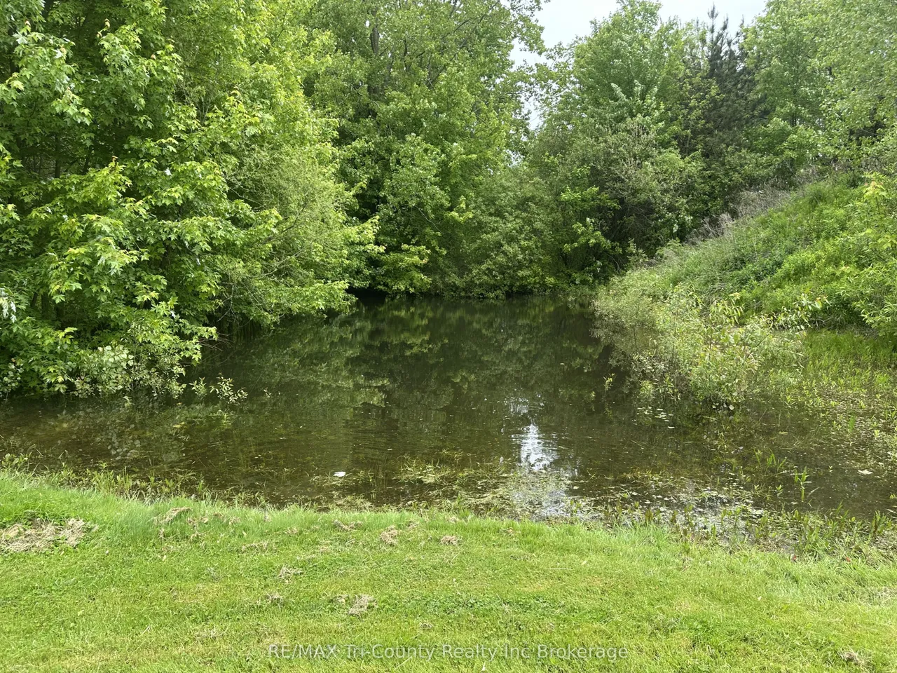 889 Norfolk County 28 Road — photo 38