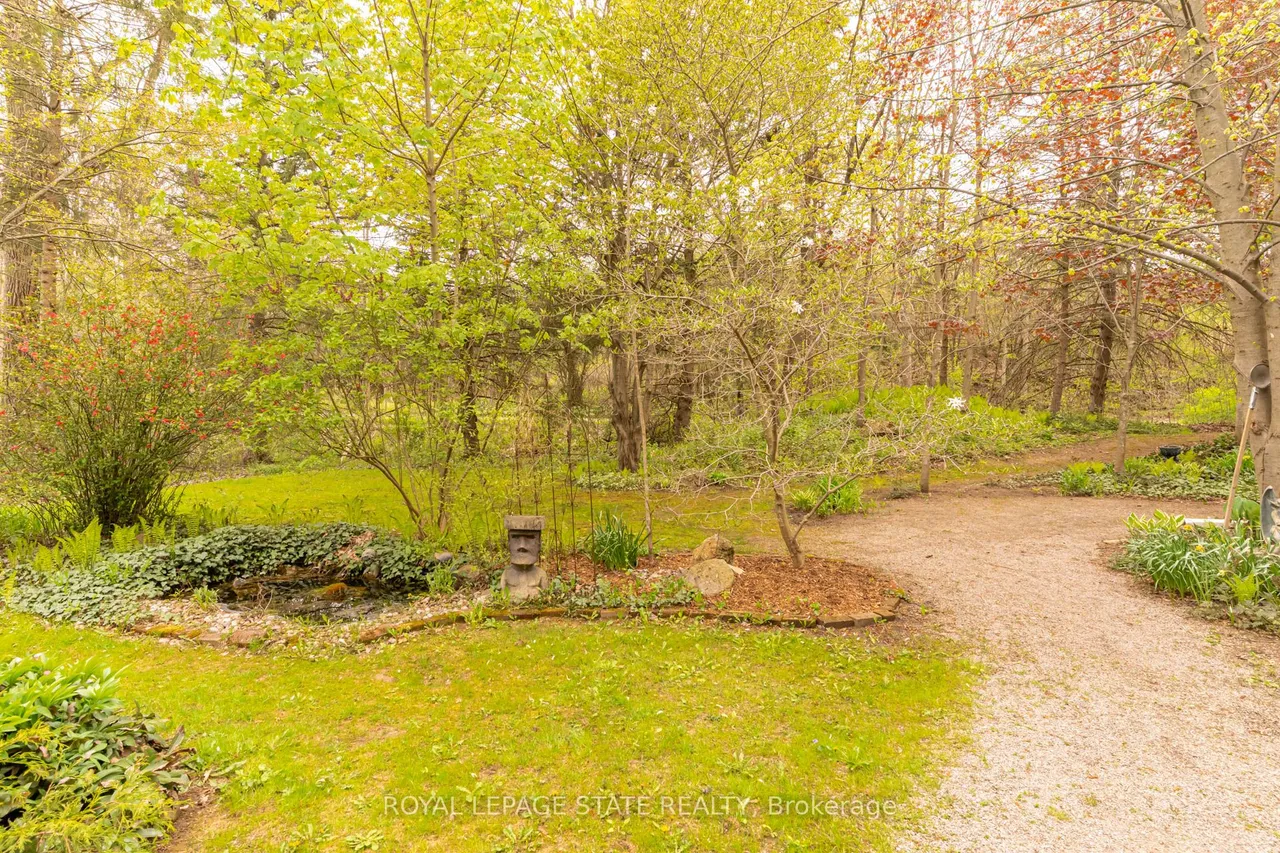 1097 Mineral Springs Road — photo 8