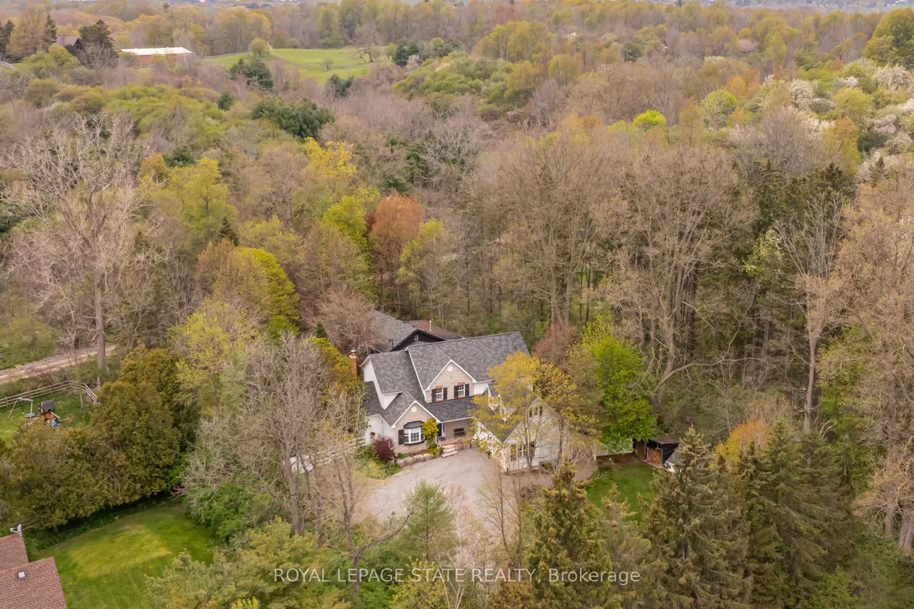 1097 Mineral Springs Road — photo 50