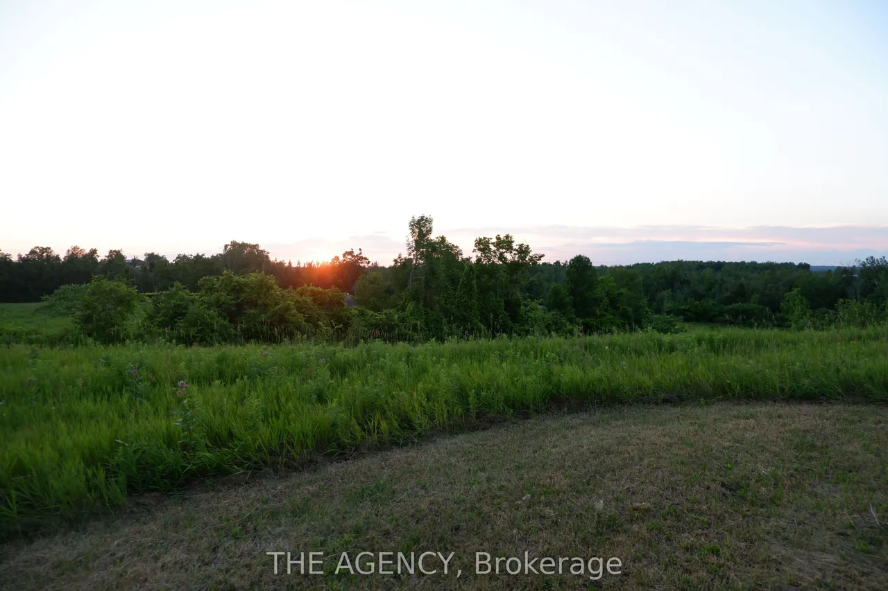 268 YANKEE Line — photo 50