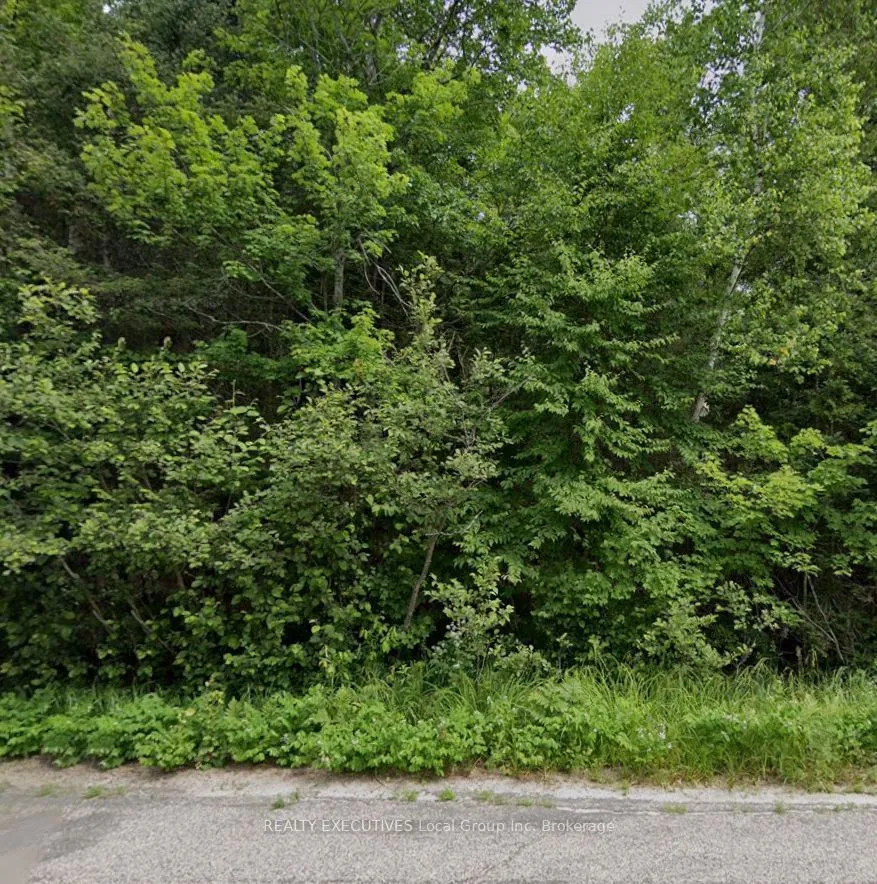 Lot 1 Widdifield Station Road — photo 3