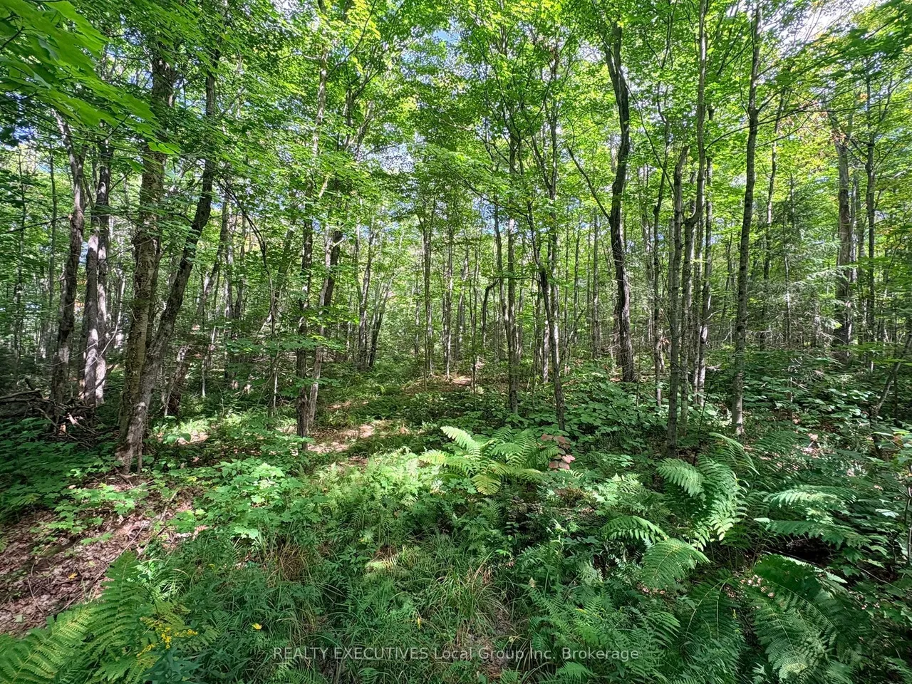 Lot 1 Widdifield Station Road — photo 4