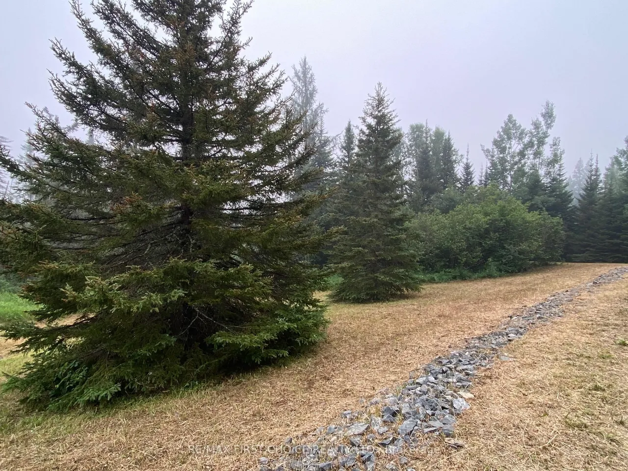 0 Townline Road — photo 11