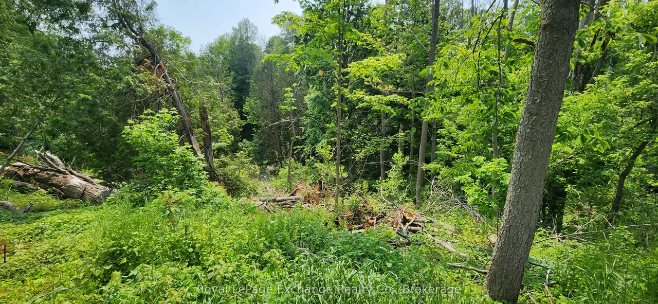 444 Durham Street — photo 4