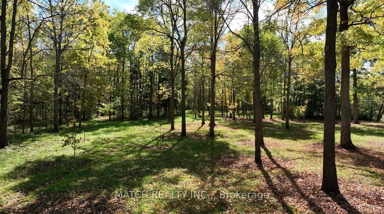 17000 Storey Drive — photo 45