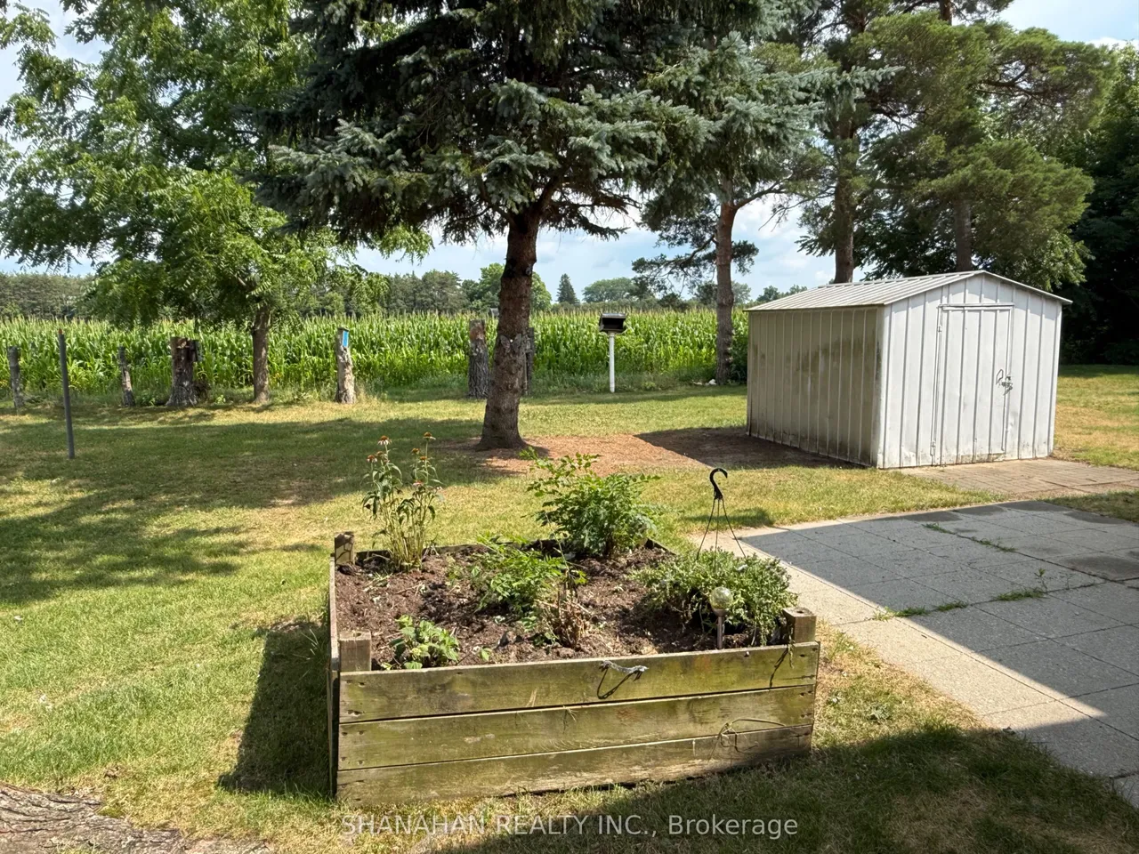 10 Velma Street — photo 29