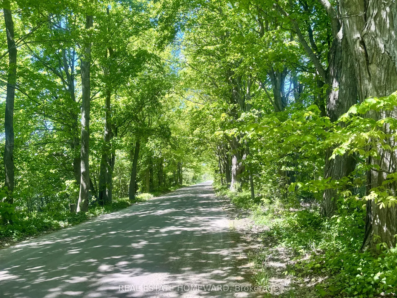2847 County Rd 10 Road — photo 37