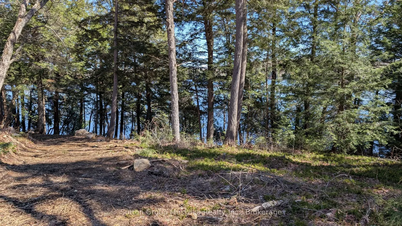 LOT 1 ESIG Lane — photo 3