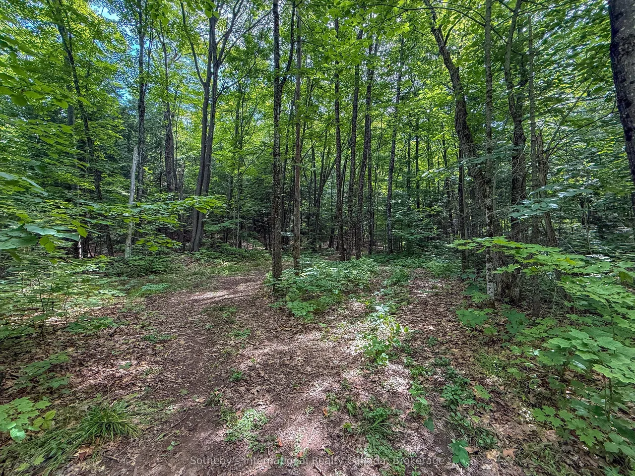 1098 Old Hwy 117 — photo 12