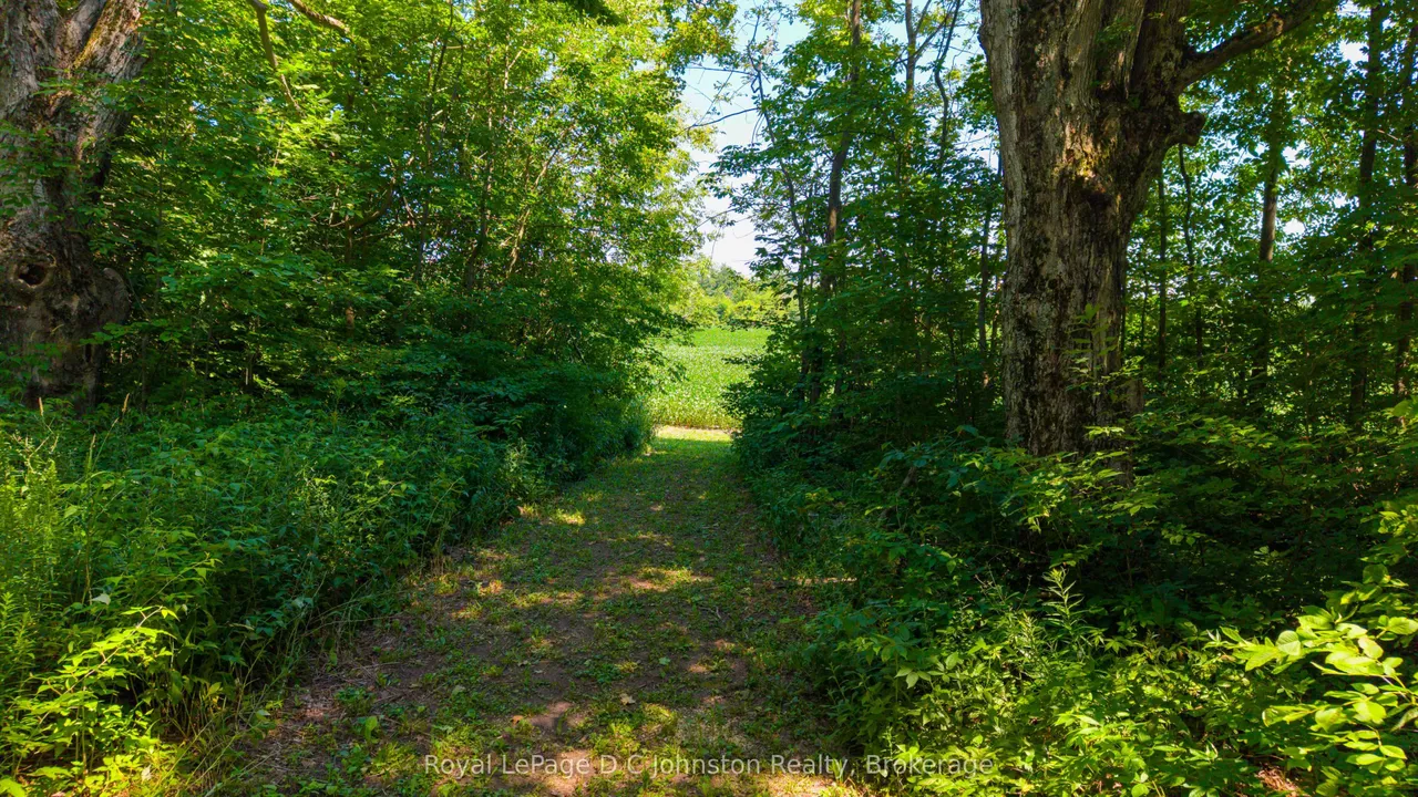 305 Sideroad 25 — photo 3