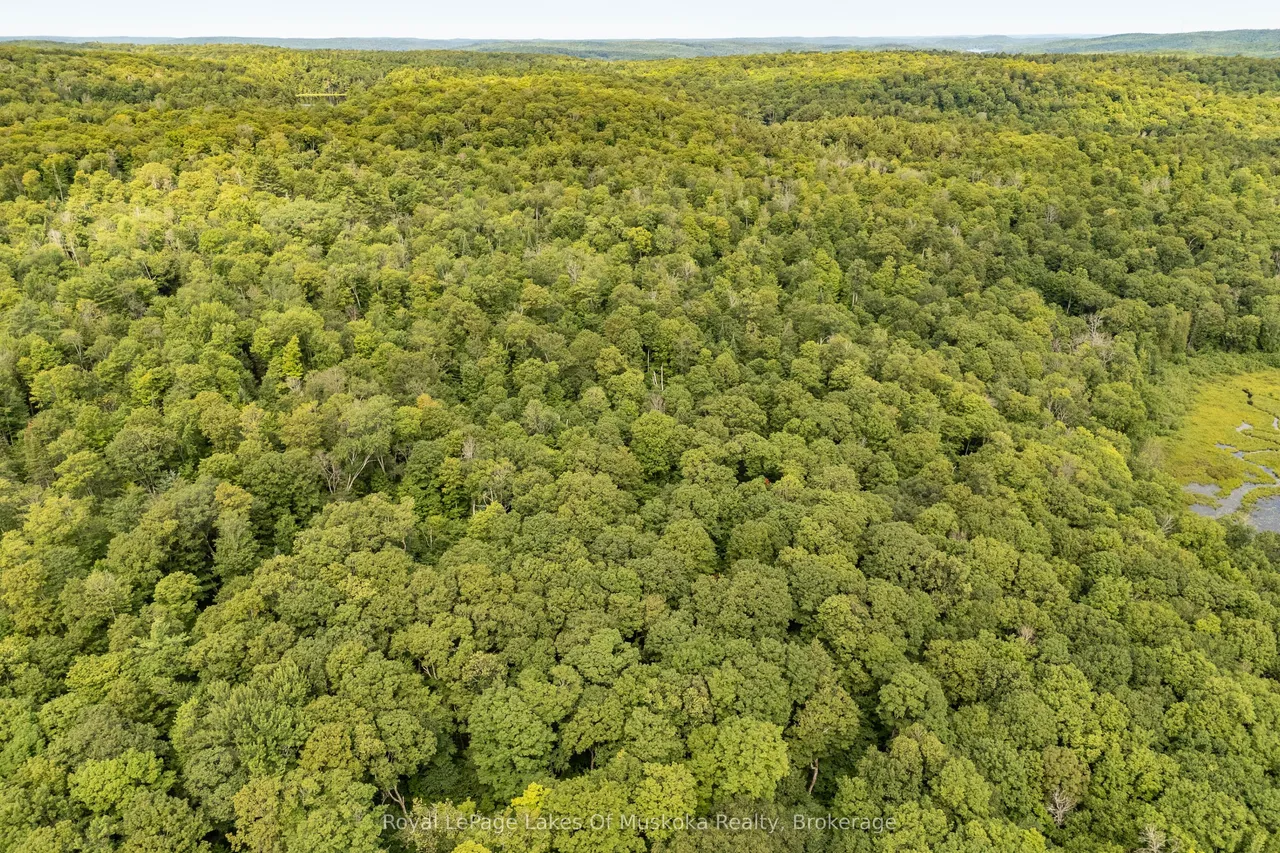 1099 Wolfkin Lake Road — photo 37