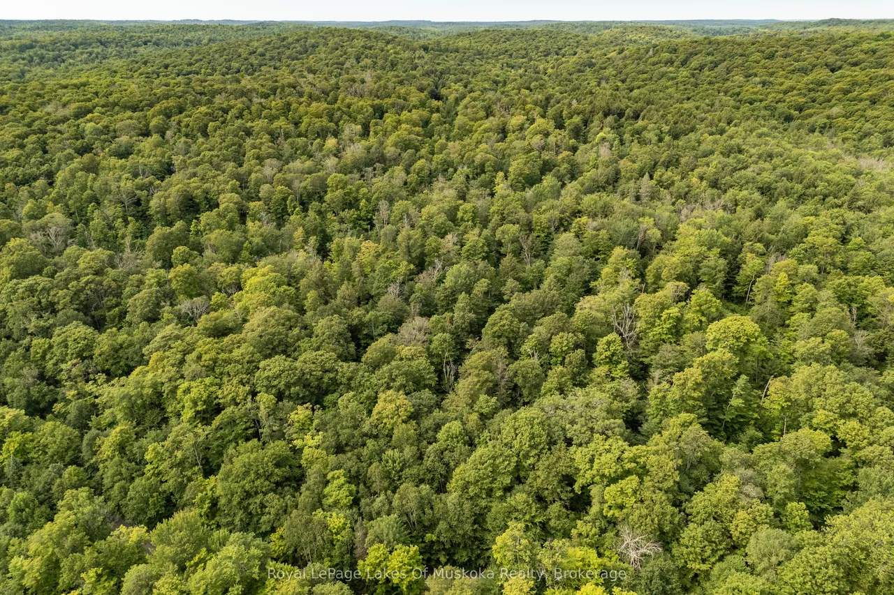 1099 Wolfkin Lake Road — photo 38