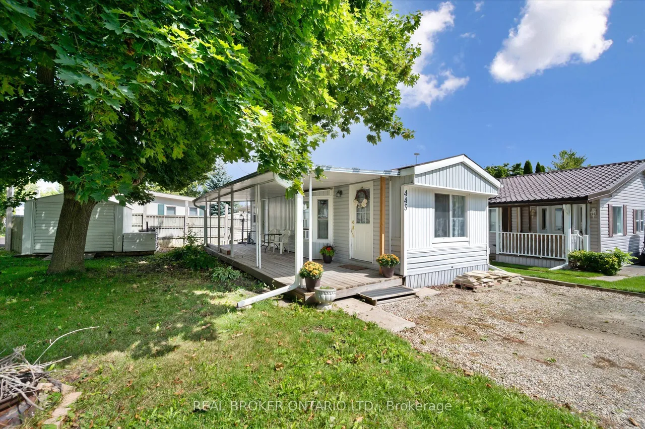 445 Pine Pass — photo 3