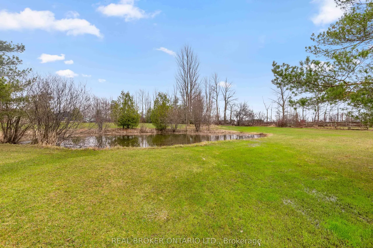 260376 Southgate Rd 26 Road — photo 43