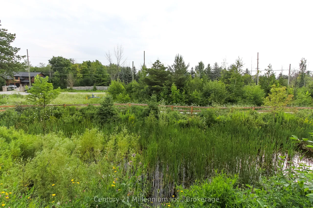 10 Beckwith Lane — photo 31