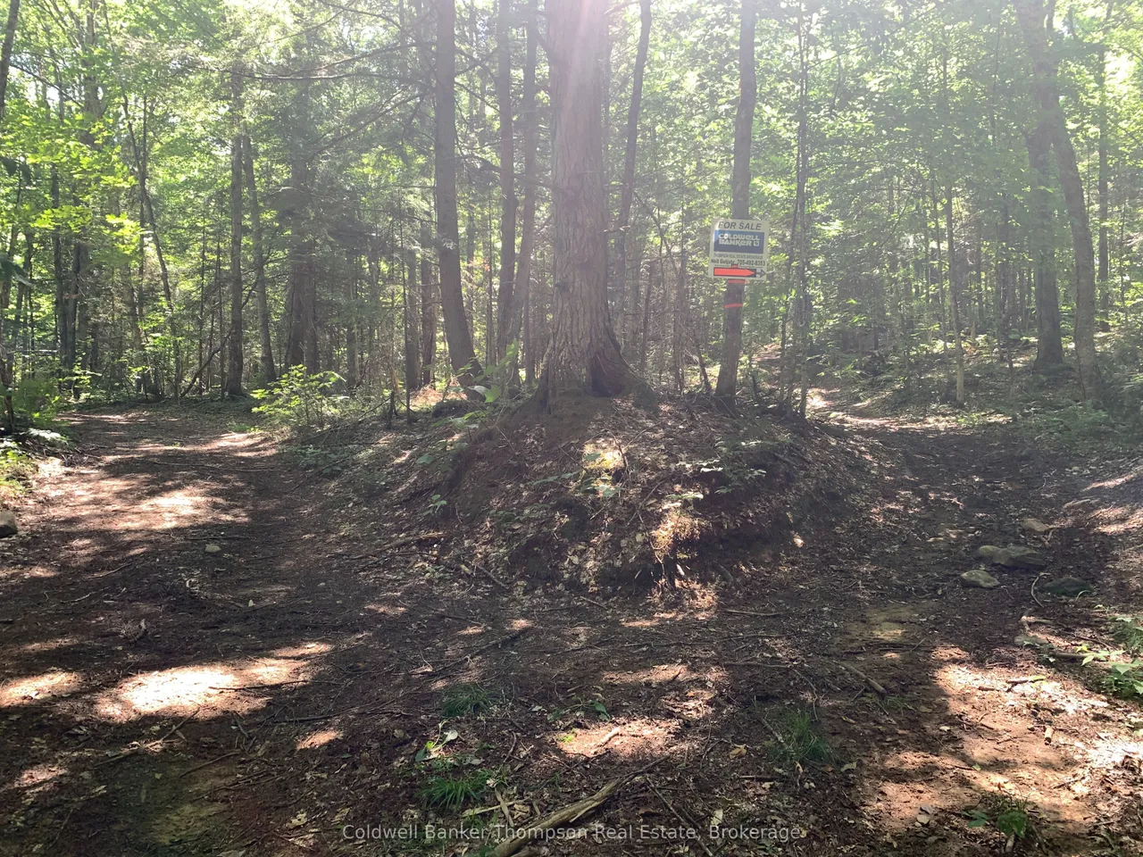 LOT 12 CON 2 n/a Trail — photo 3