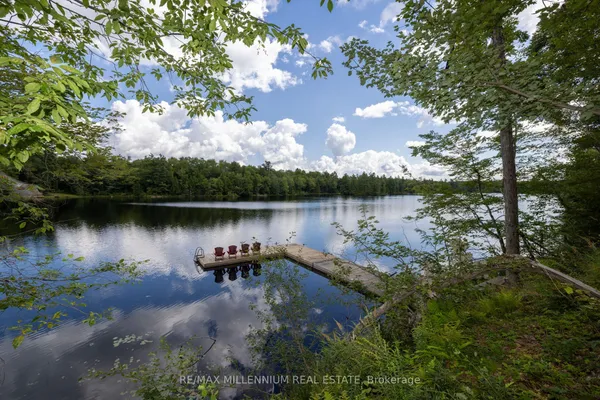 29 Yellow Birch Road — photo 2