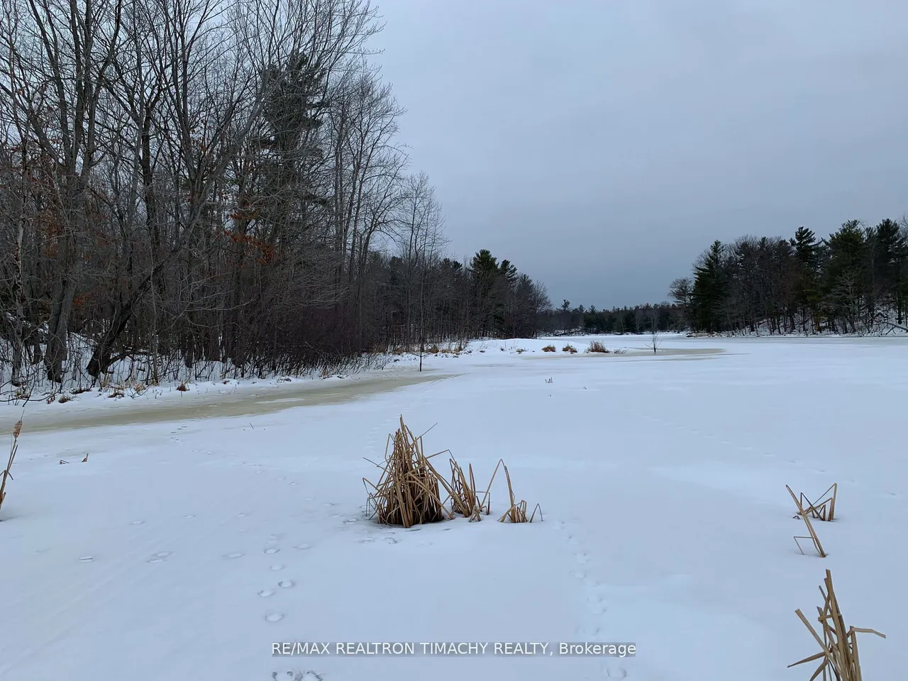 243 PRISQUE Road — photo 37