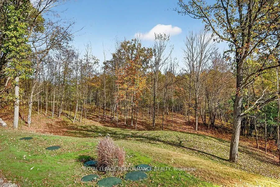 127 Ernest Way — photo 48